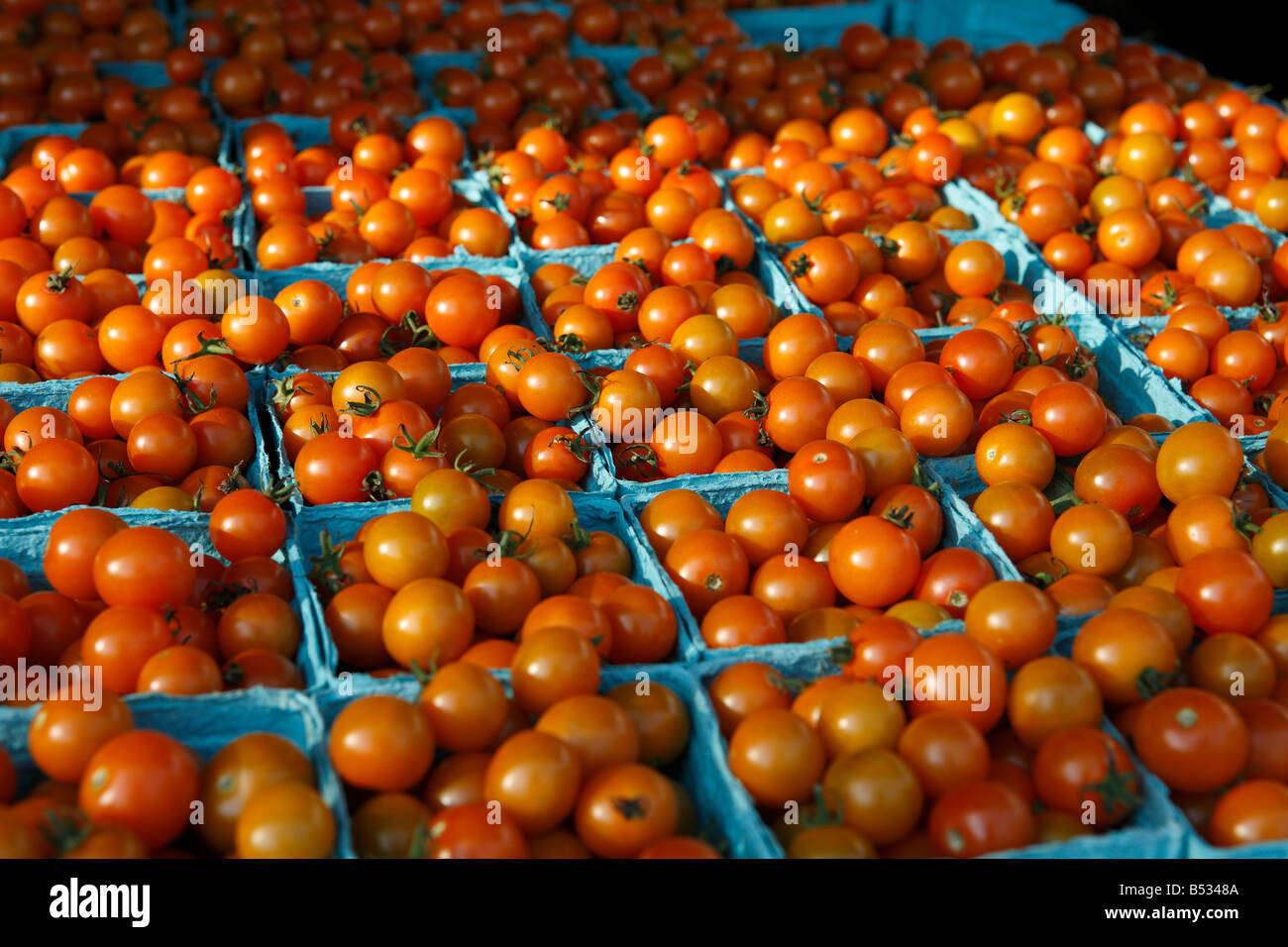 Bushel Of Tomatoes High Resolution Stock Photography and Images Alamy