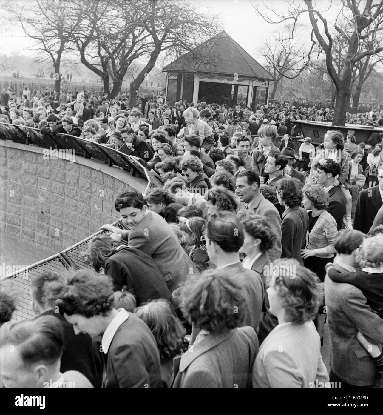 Easter Crowds at Regents Park Zoo. April 1952 C1908 Stock Photo