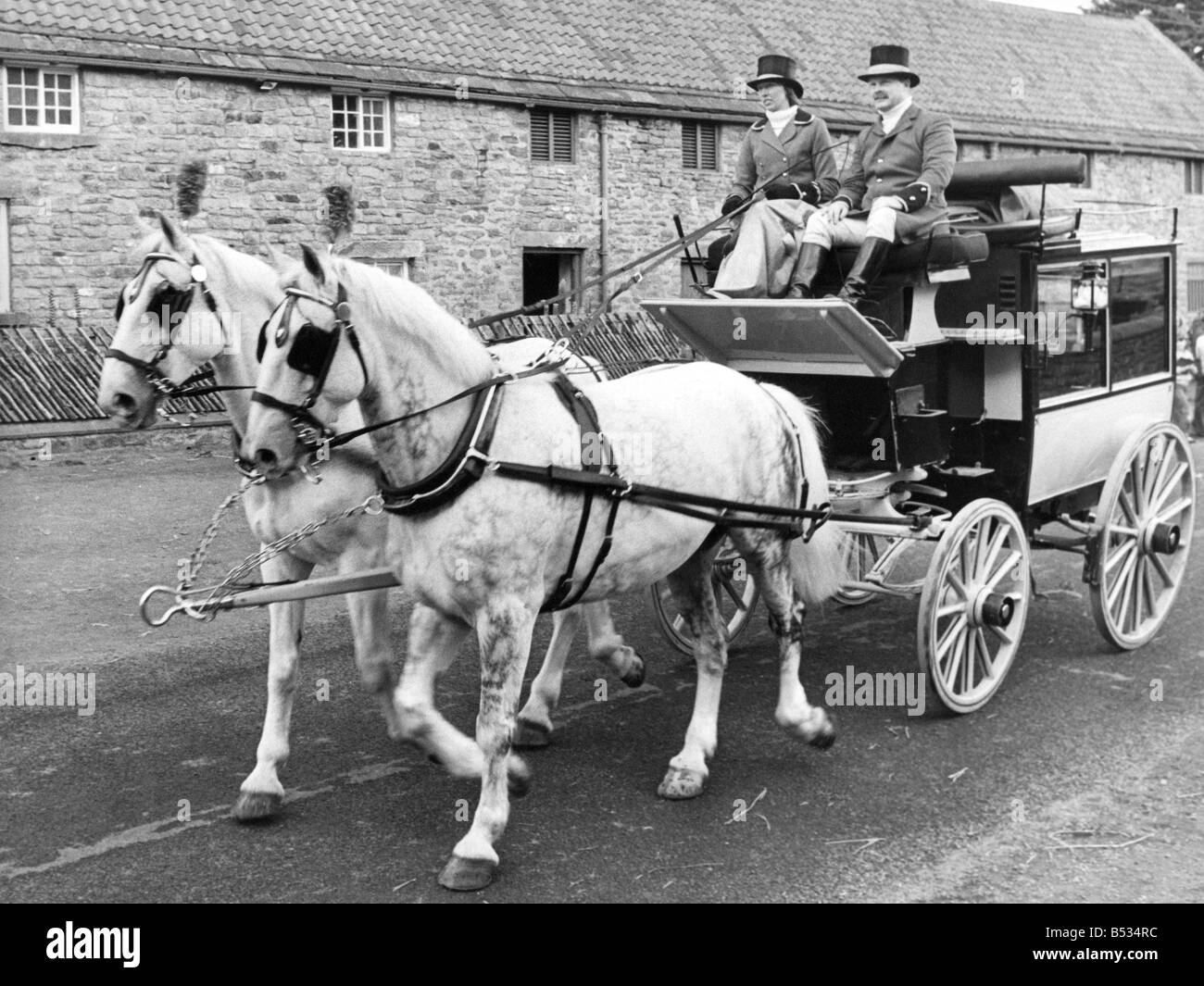 Helen Wrightham and Gavin Allan with a carriage and pair Orbit and ...