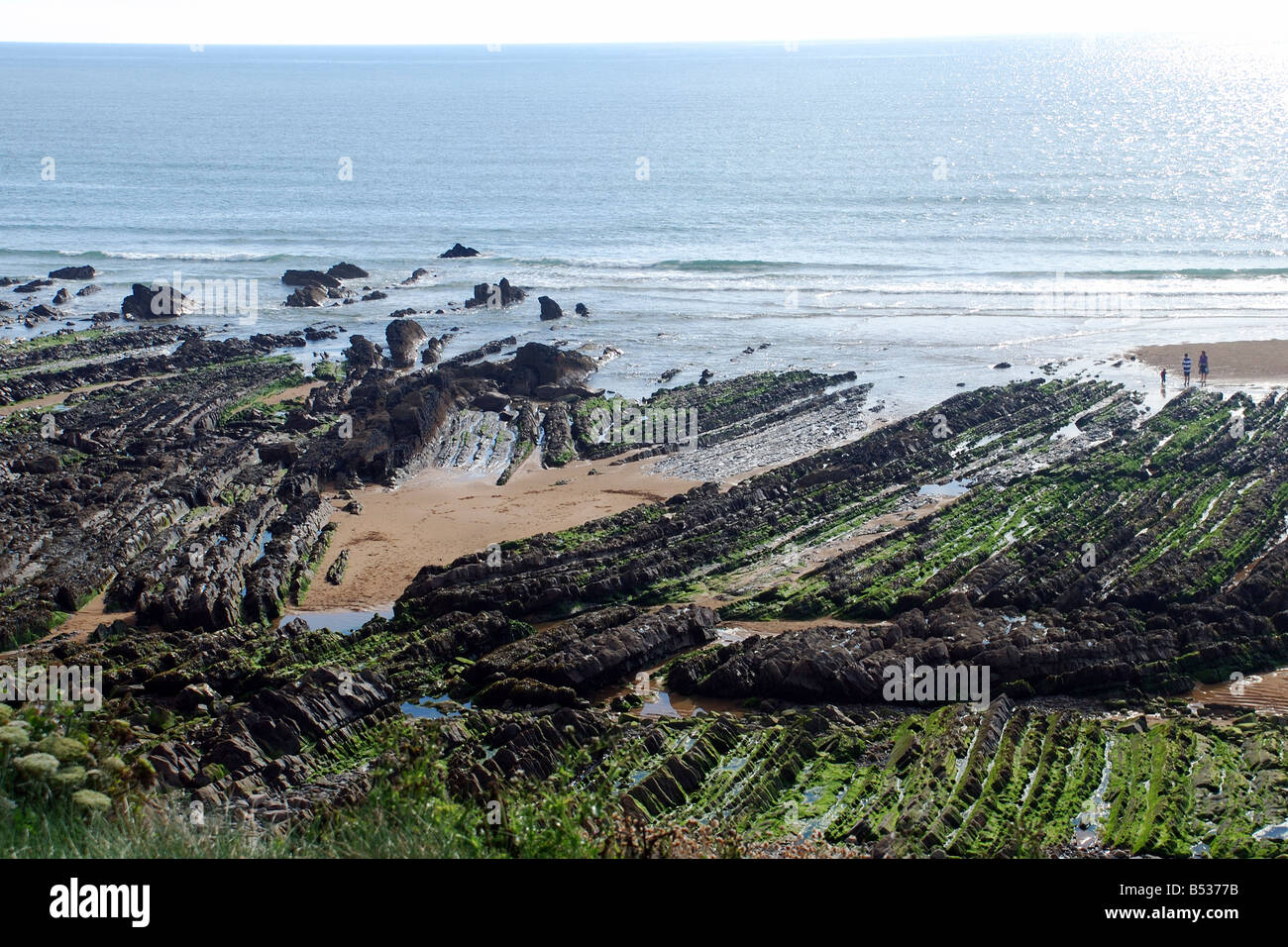 Flexbury beach near Bude Stock Photo Alamy