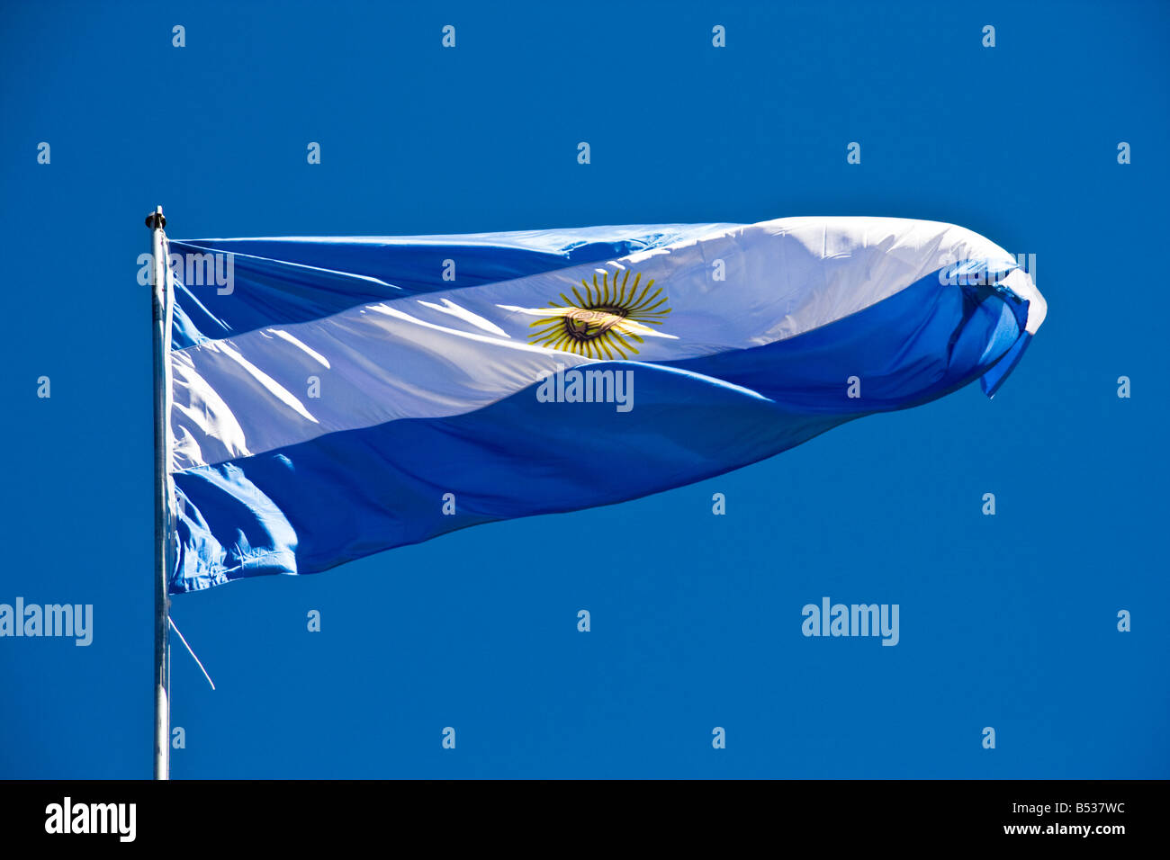 Argentina national flag wind blue sky Stock Photo
