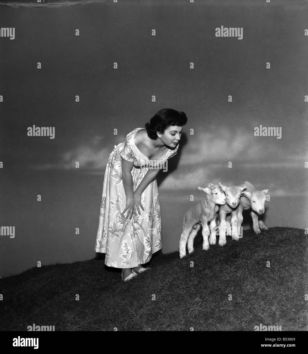 Actress  Jean Simmons with Lambs. October 1948 O15147-003 Stock Photo