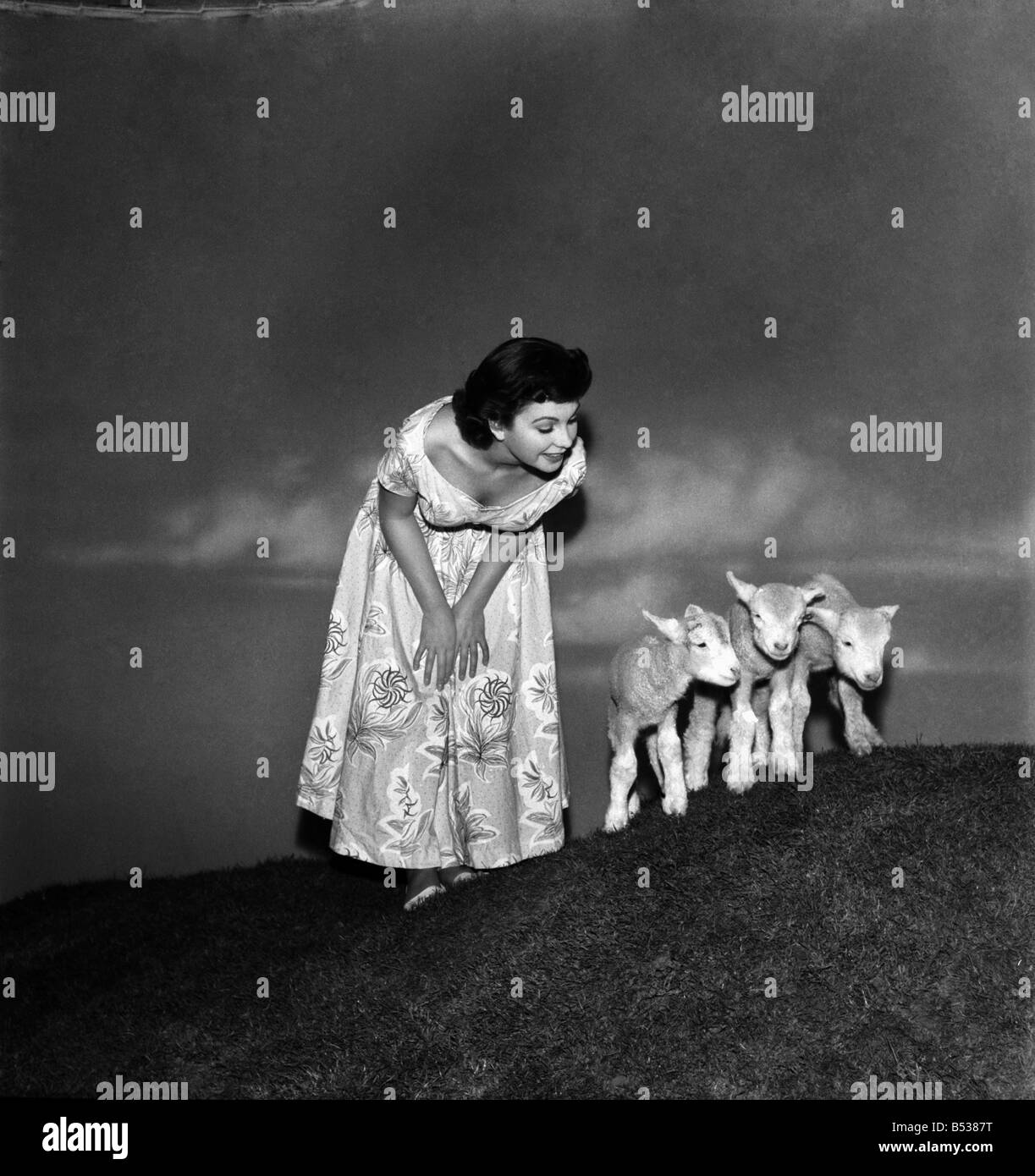 Actress  Jean Simmons with Lambs. October 1948 O15147-009 Stock Photo