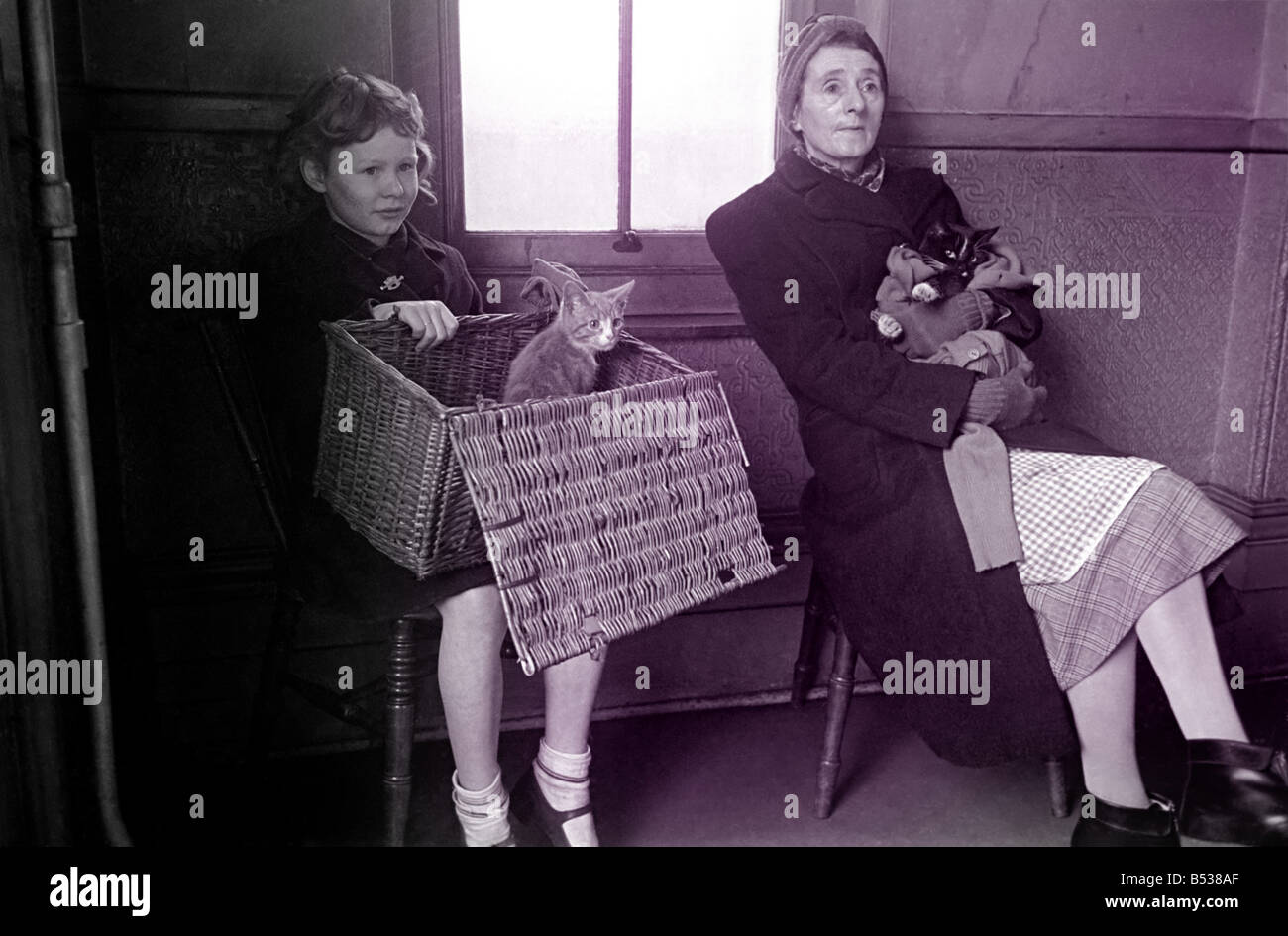 RSPCA Hospital. little girl with her sickly cat wait to see the vets. December 1948 O16092-005 Stock Photo