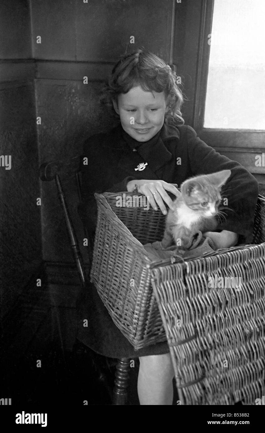 RSPCA Hospital. little girl with her sickly cat wait to see the vets. December 1948 O16092-005 Stock Photo