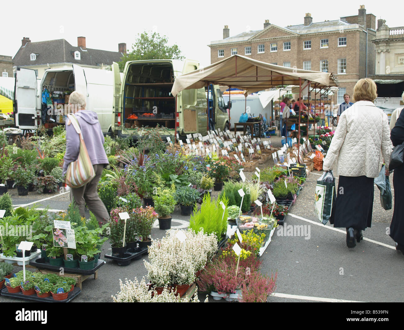A flower market stall on the tuesday market at Kings Lynn,Norfolk,East