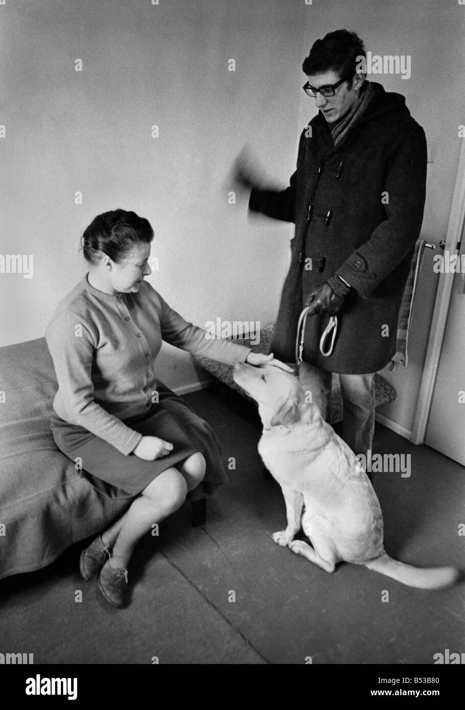 Betty Hunter of Bristol, who is blind, meeting for the first time Corri, her future guide dog. &#13;&#10;February 1971 P018619 Stock Photo