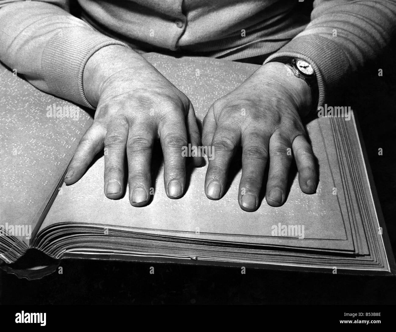 Whiteheads Black and White Stock Photos & Images Alamy