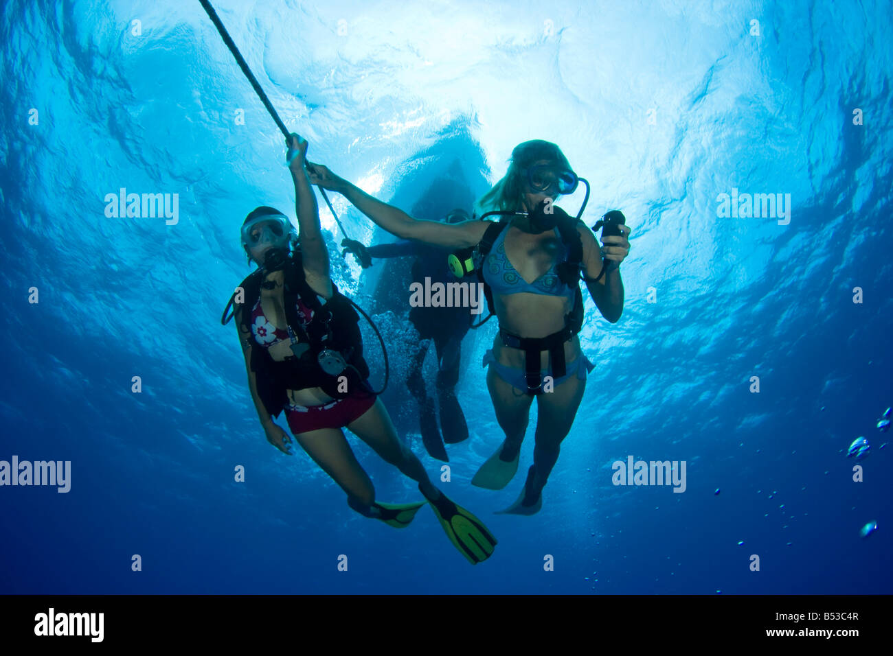 Divers doing a safety stop on the anchor line before surfacing, Hawaii