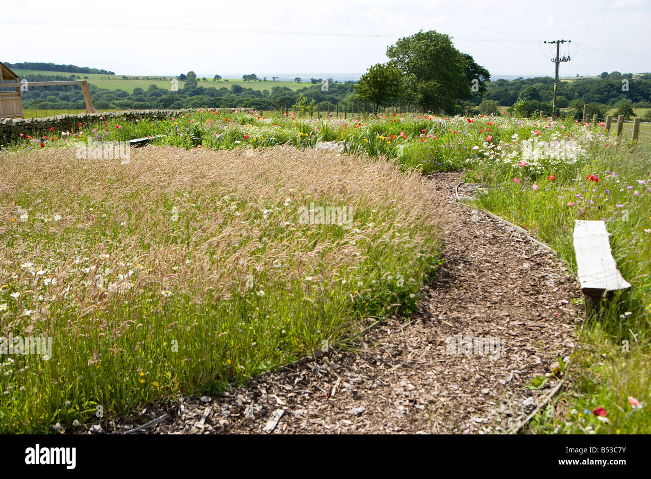 wild lawn with long grass and bark chipping path Stock Photo Alamy