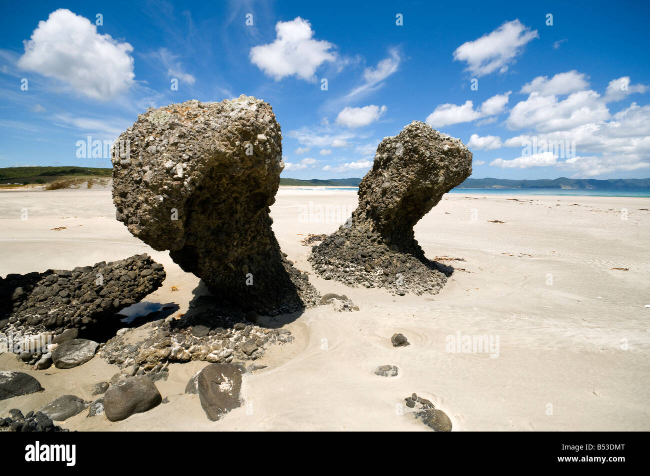Eroded rocks at Spirits Bay, or Kapowairua, North Island, New Zealand ...