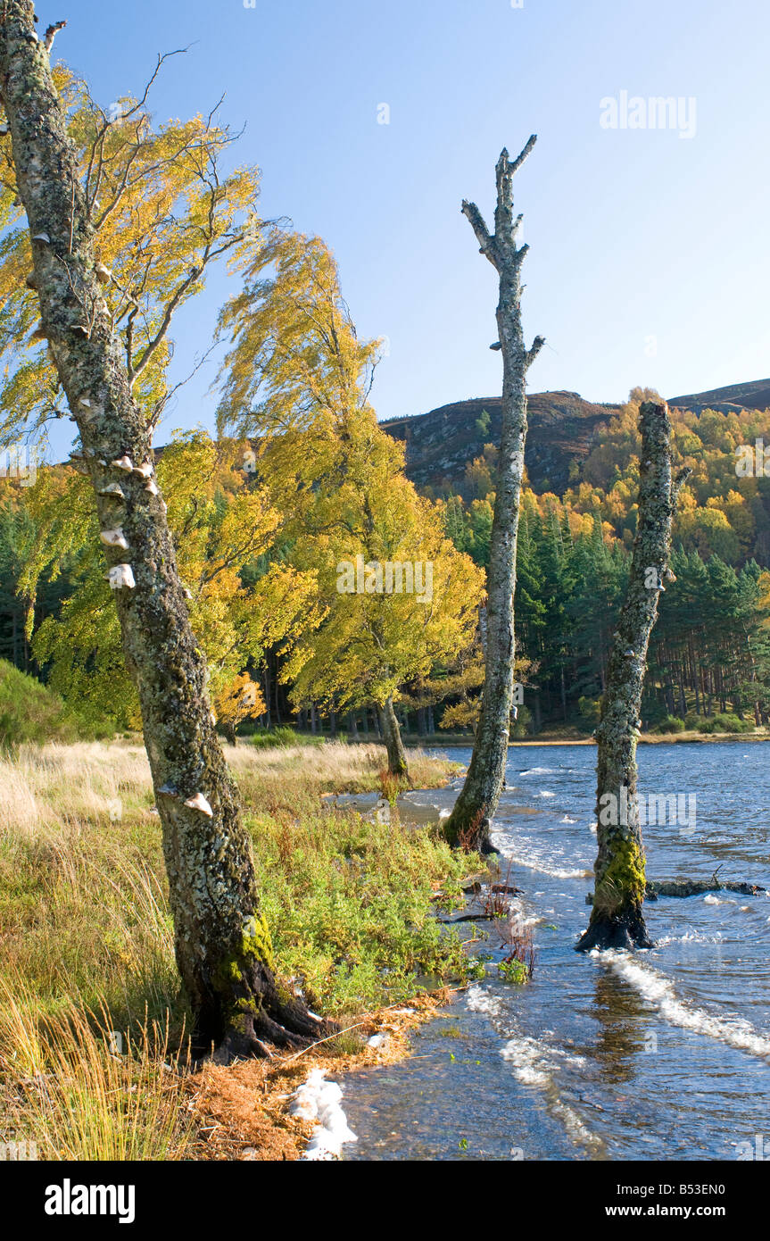 Autumn colours Loch Pityoulish Badenoch and Strathspey Aviemore