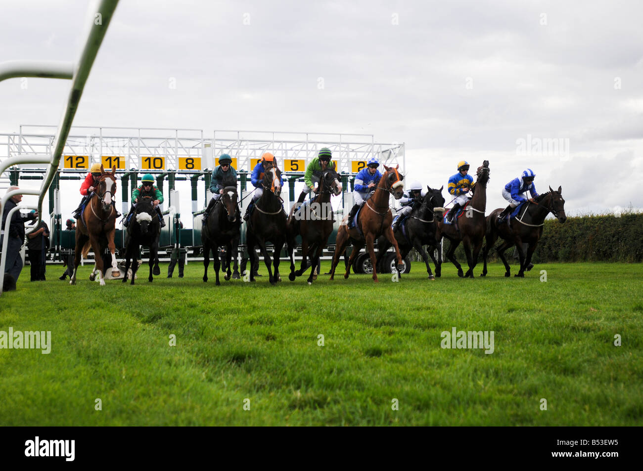 Horse racing stalls uk hi-res stock photography and images - Alamy