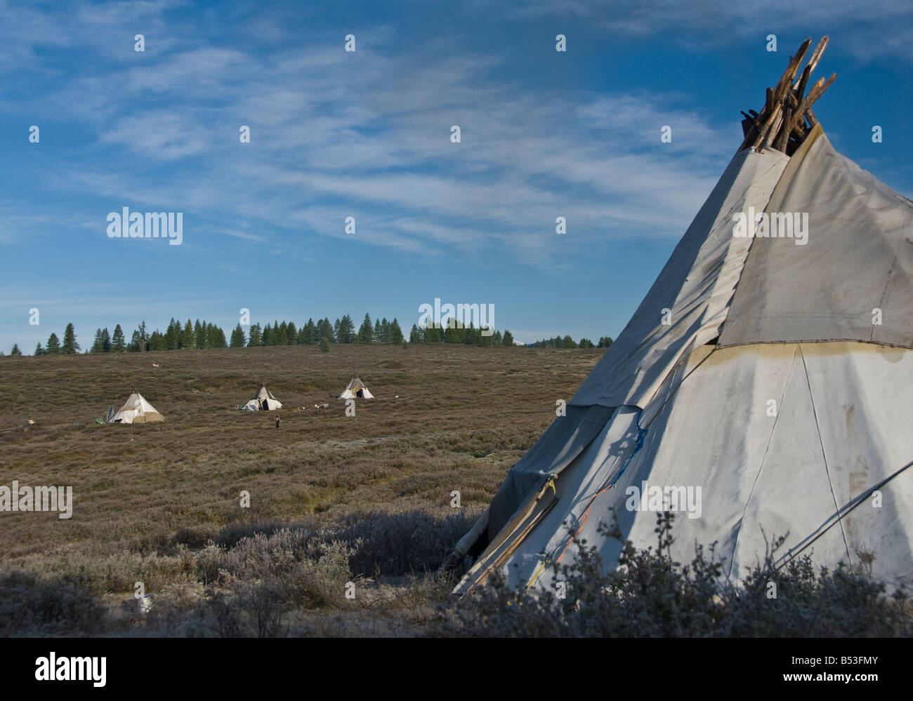 Tsaatan Tepee encampment Northern Mongolia Stock Photo