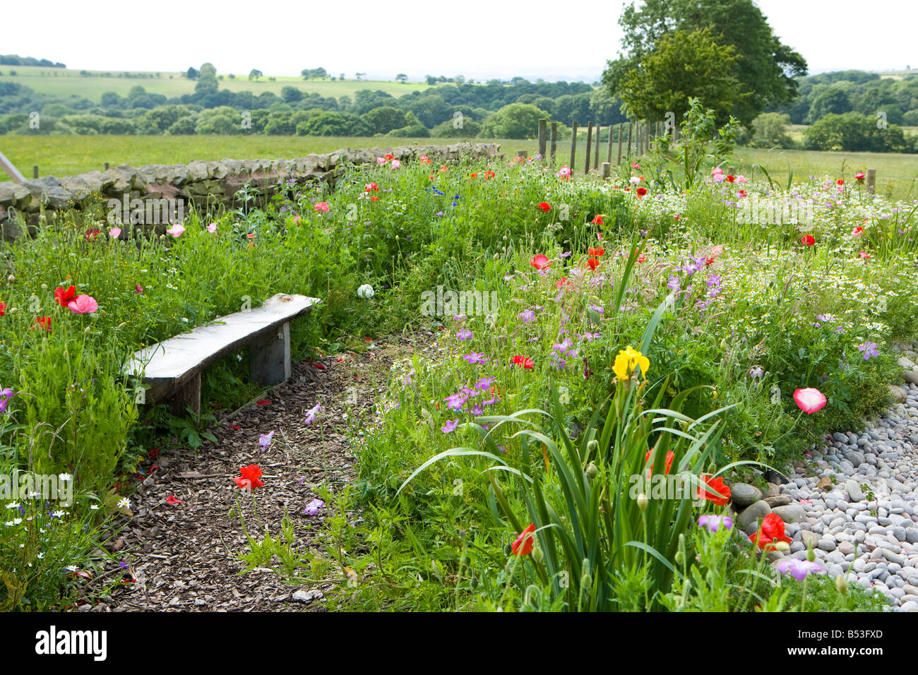 Wildlife garden hi-res stock photography and images - Alamy