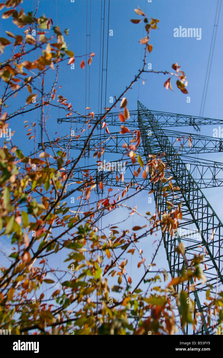 electrical tower with bush and blue sky Stock Photo