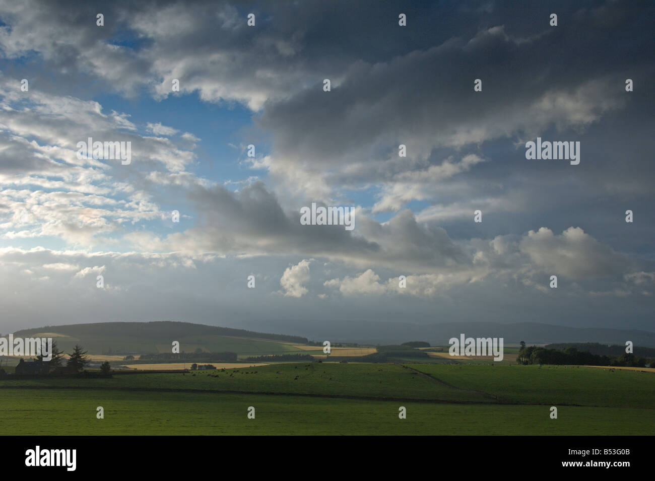 Looking north to Royal Deeside from A957 at Durris Aberdeenshire