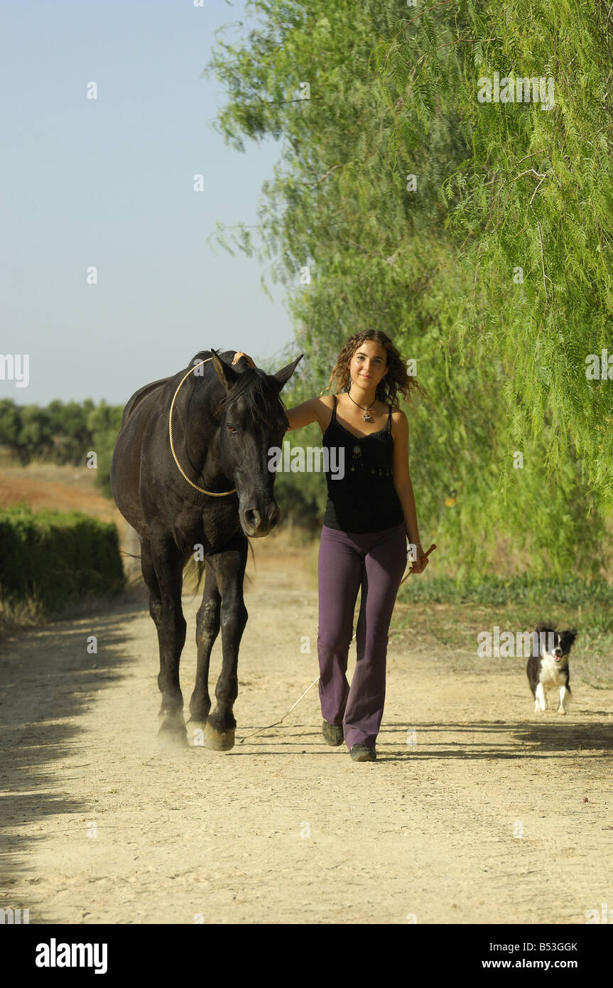 girl, dog and Arabian horse Stock Photo - Alamy