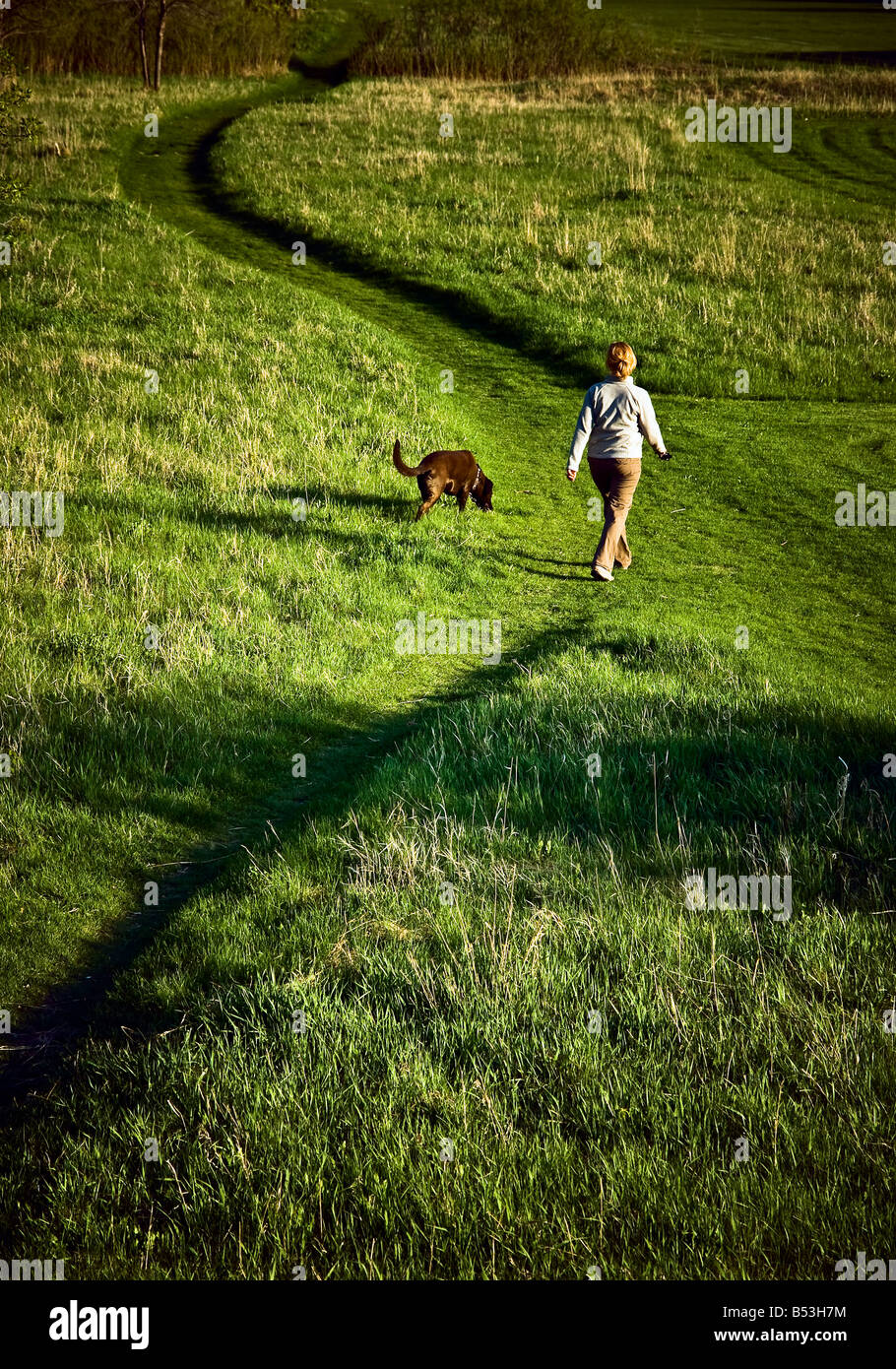 Woman walking her dog hi-res stock photography and images - Alamy