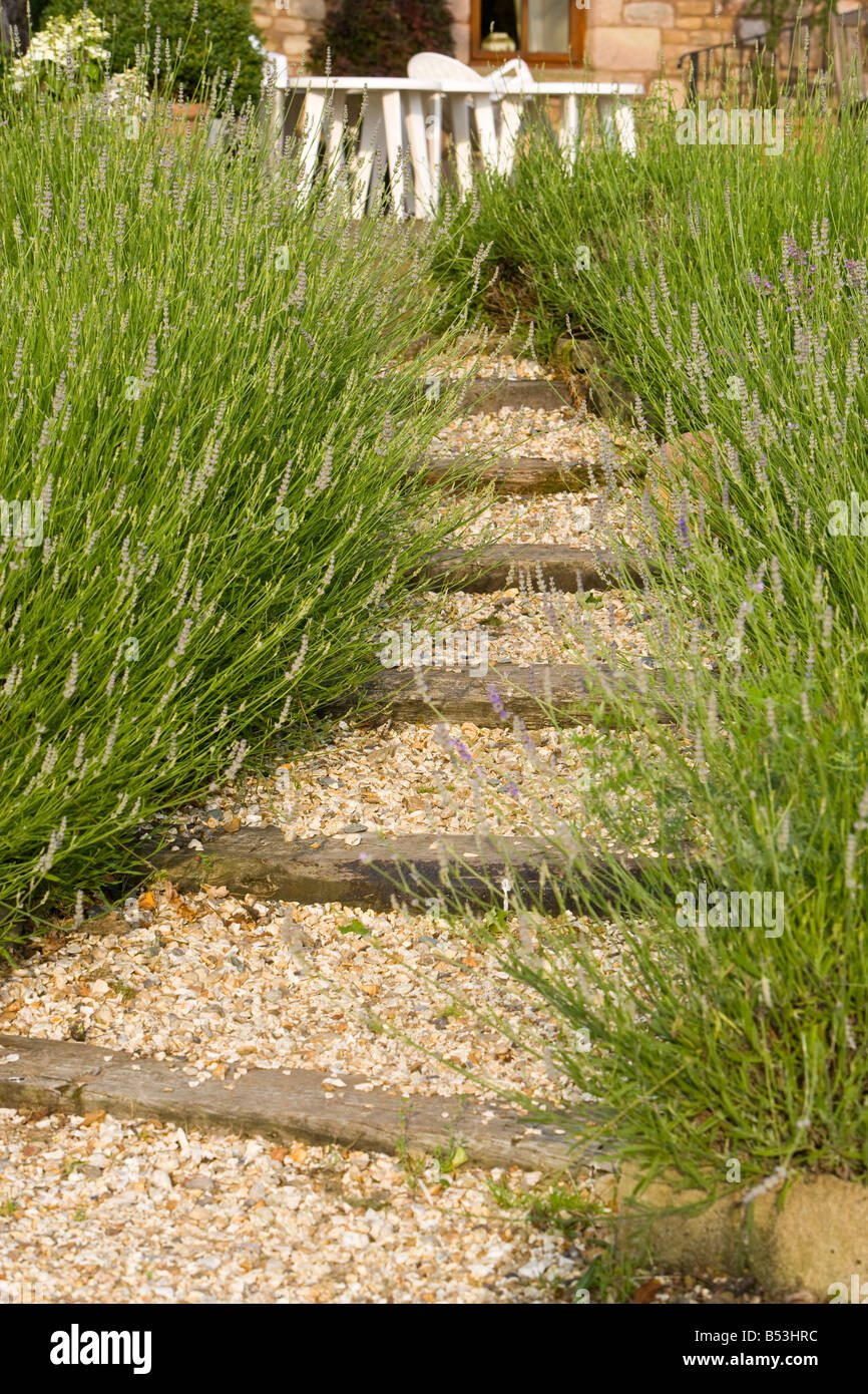 a stepped gravel path in a garden Stock Photo