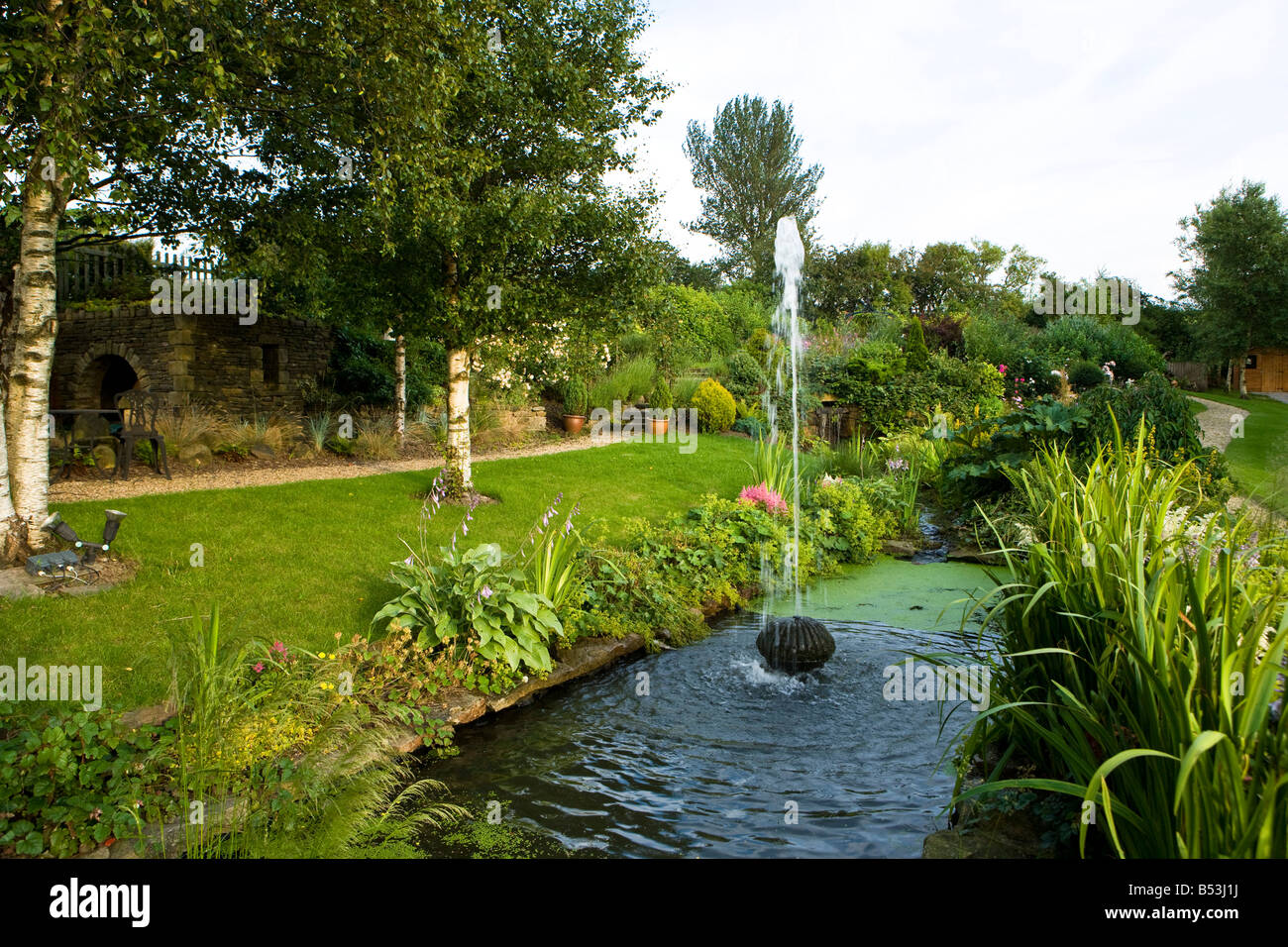 silver birch trees and small pool in garden, with a fountain Stock Photo