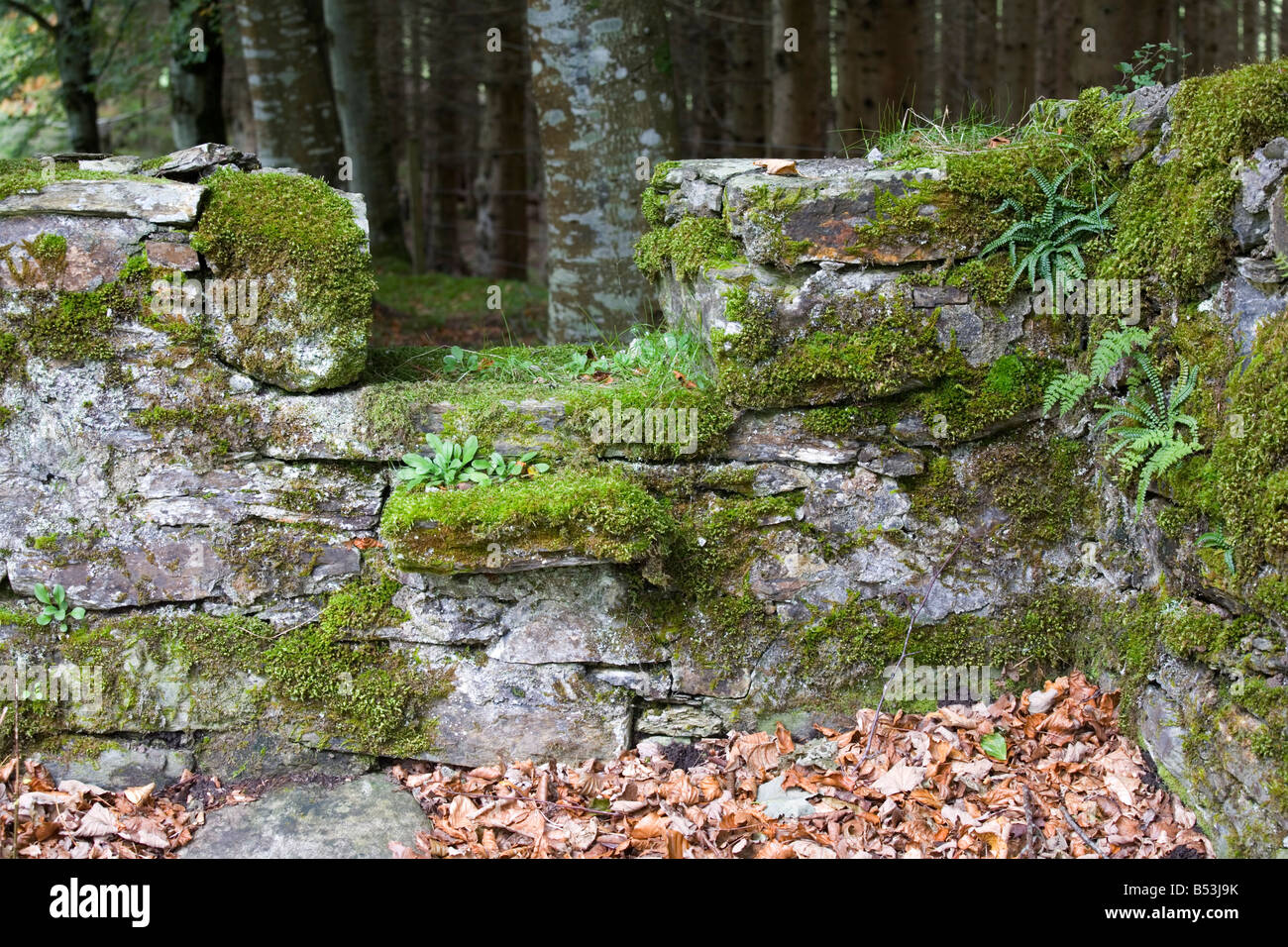 Old stone stile at the entrance to the Auchmore estate near Killin, Scotland Stock Photo