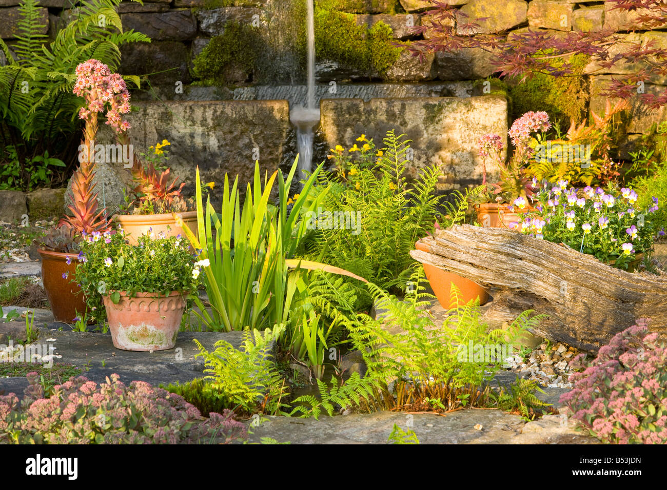 large rockery with a water feature and ferns. Stock Photo