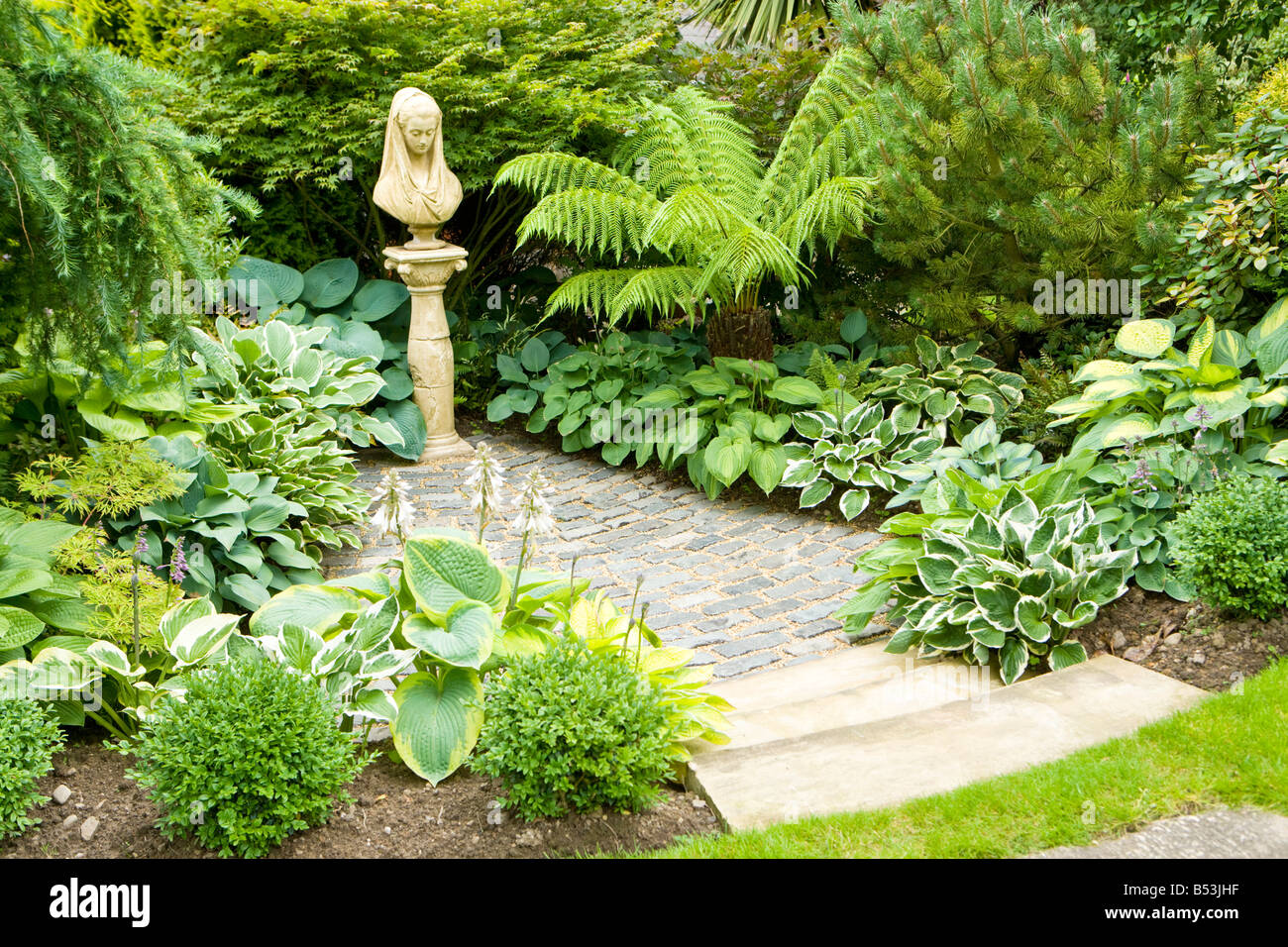 Various Hosta varieties with Boxos Sempervirens, Larix pendula to left and Tree Fern Dicksonia Antartica Stock Photo