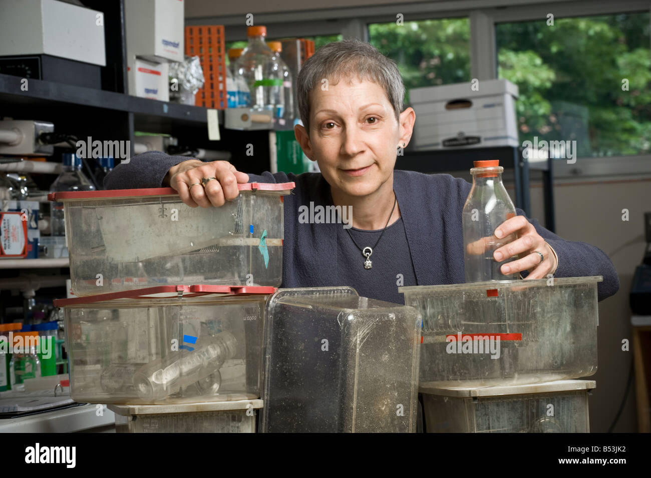 Patricia Hunt, PhD, poses in her lab at Washington State University Stock Photo