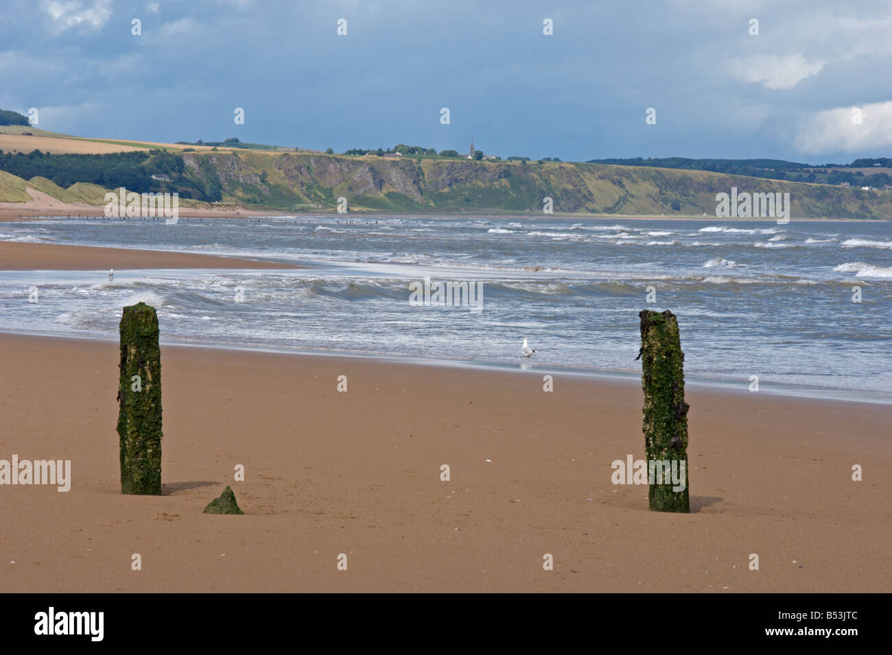 Montrose beach seafront looking north to St Cyrus Angus coast Scotland August 2008 Stock Photo