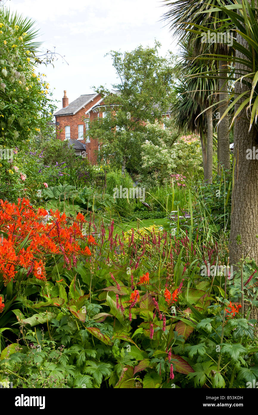 Crocosmia lucifer and Cordyline in a large garden Stock Photo