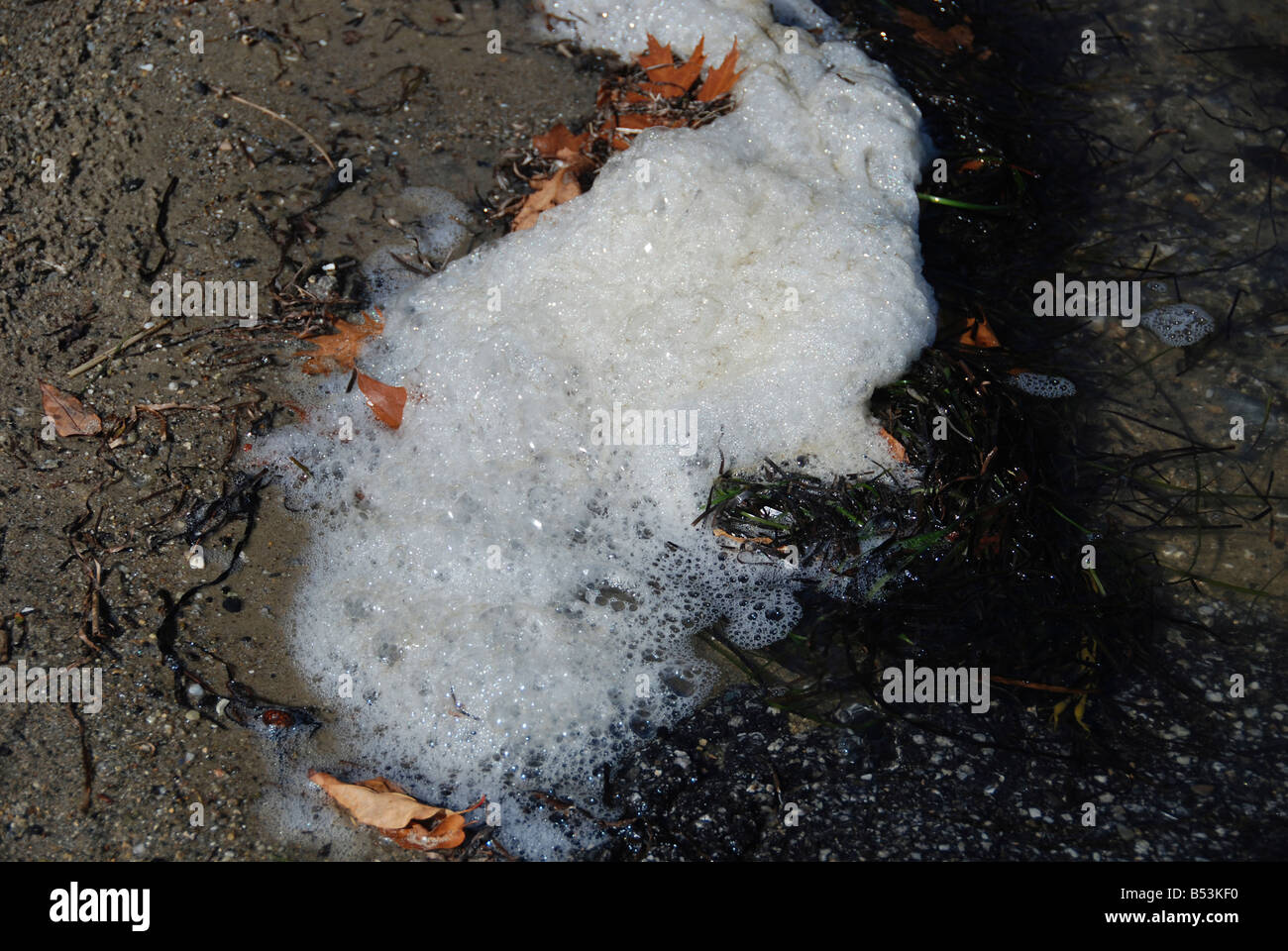 sea foam closeup Stock Photo