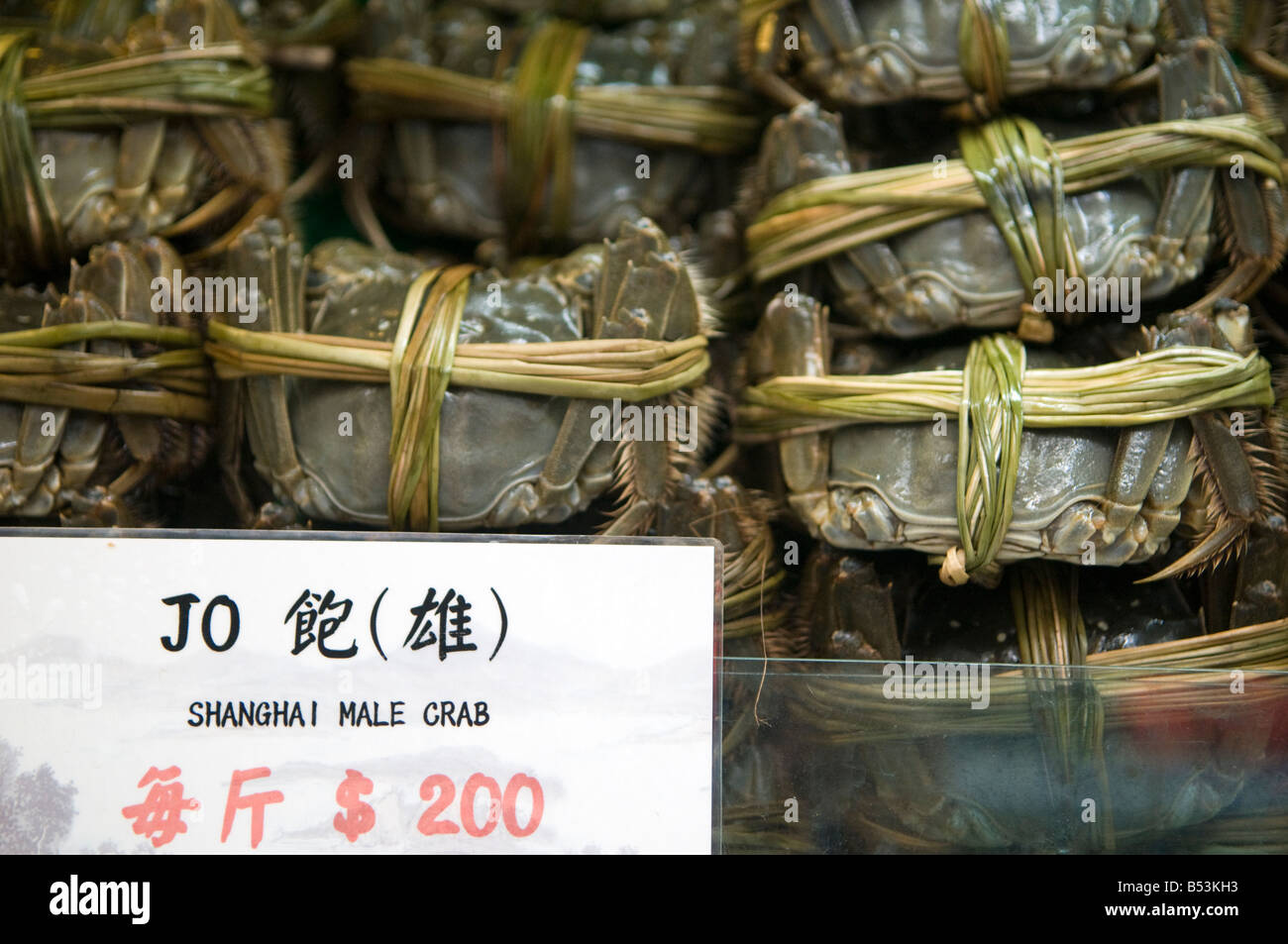 Hairy Crab for sale at wet market Hong Kong Stock Photo
