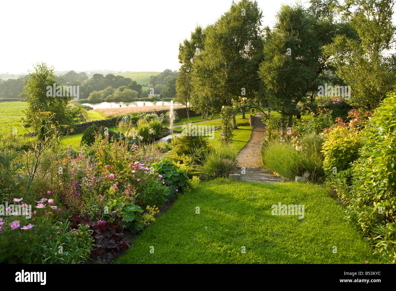 birch tree avenue in a country garden Stock Photo Alamy