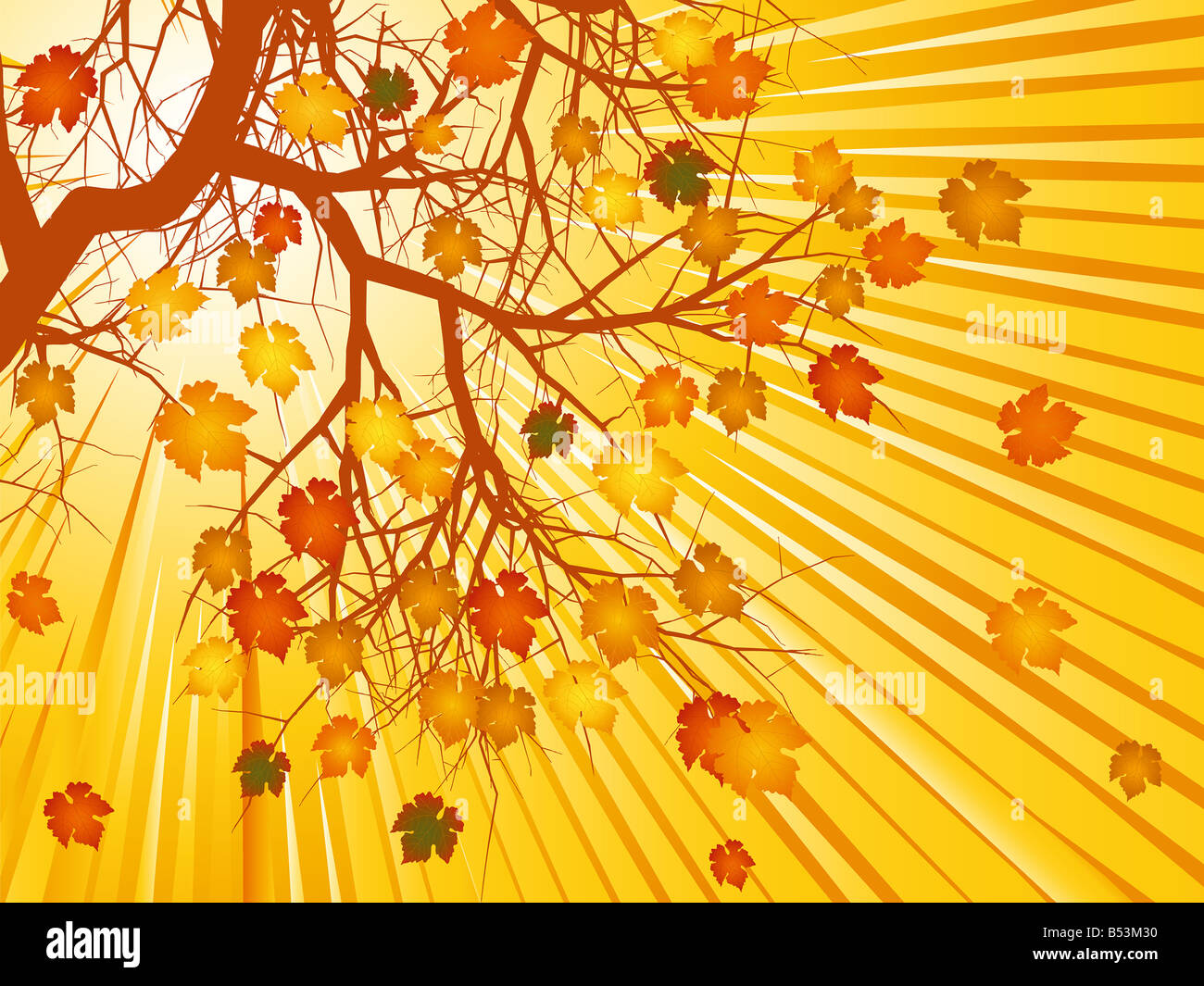 autumn tree background with golden leaves and sun rays Stock Photo - Alamy