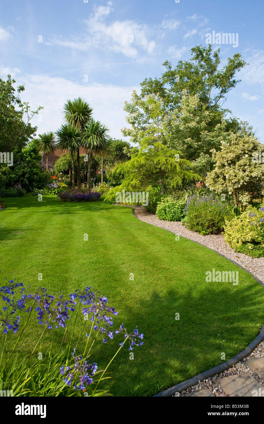 Large striped lawn with cordyline and curving gravel path. Stock Photo