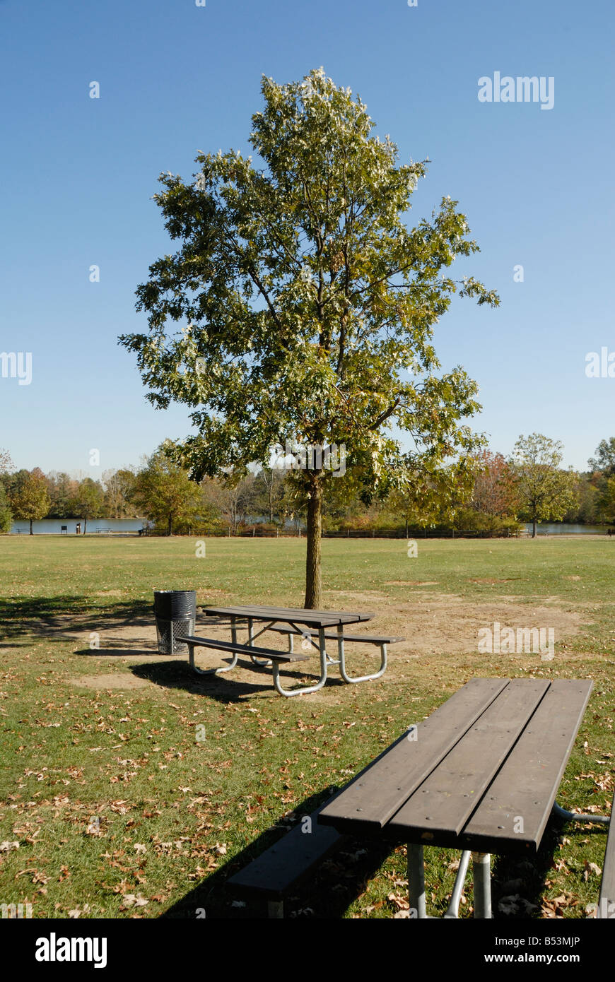 empty picnic tables and play ground Stock Photo Alamy