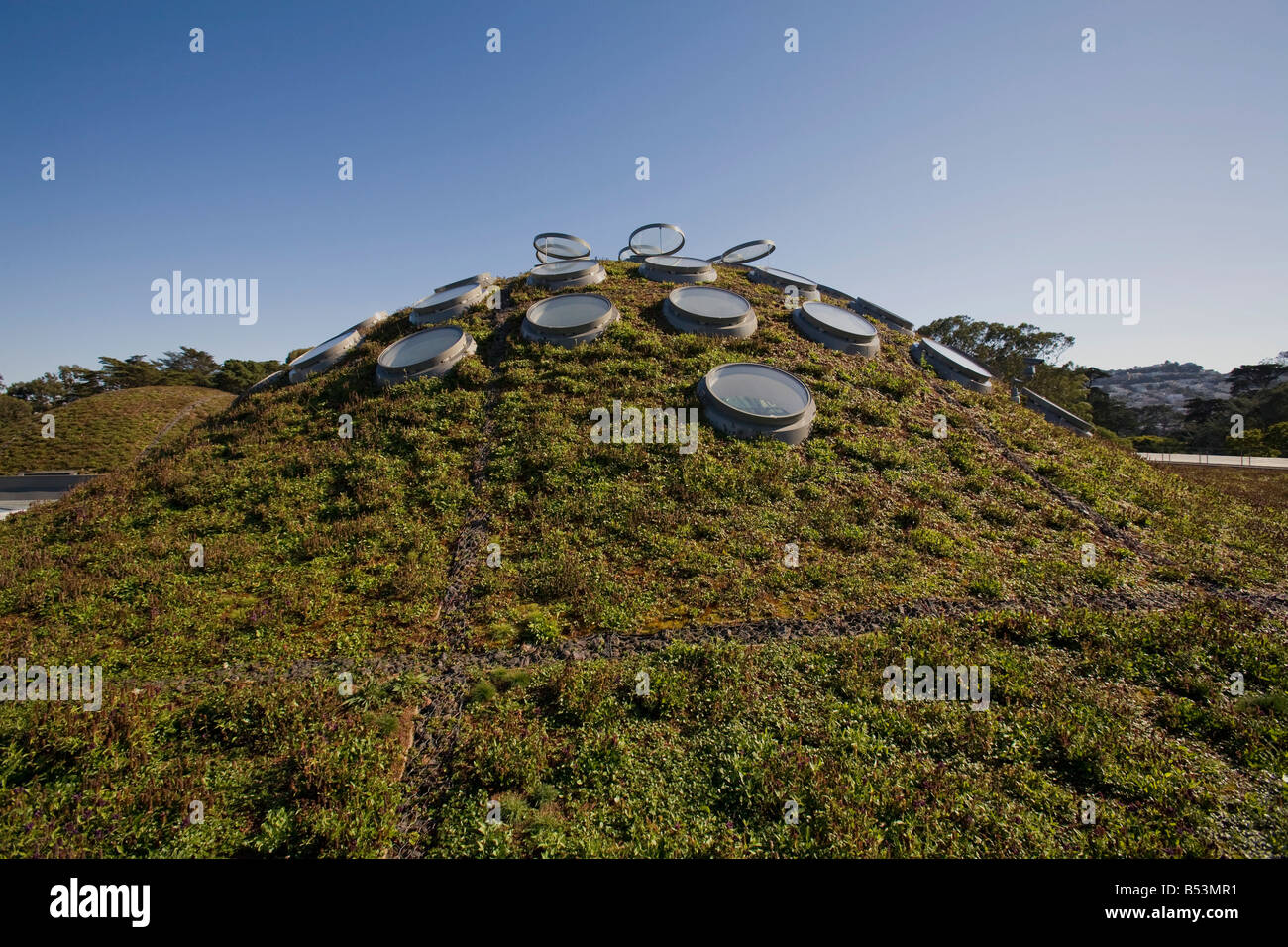 The Living Roof California Academy of Sciences Golden Gate park San Francisco California USA