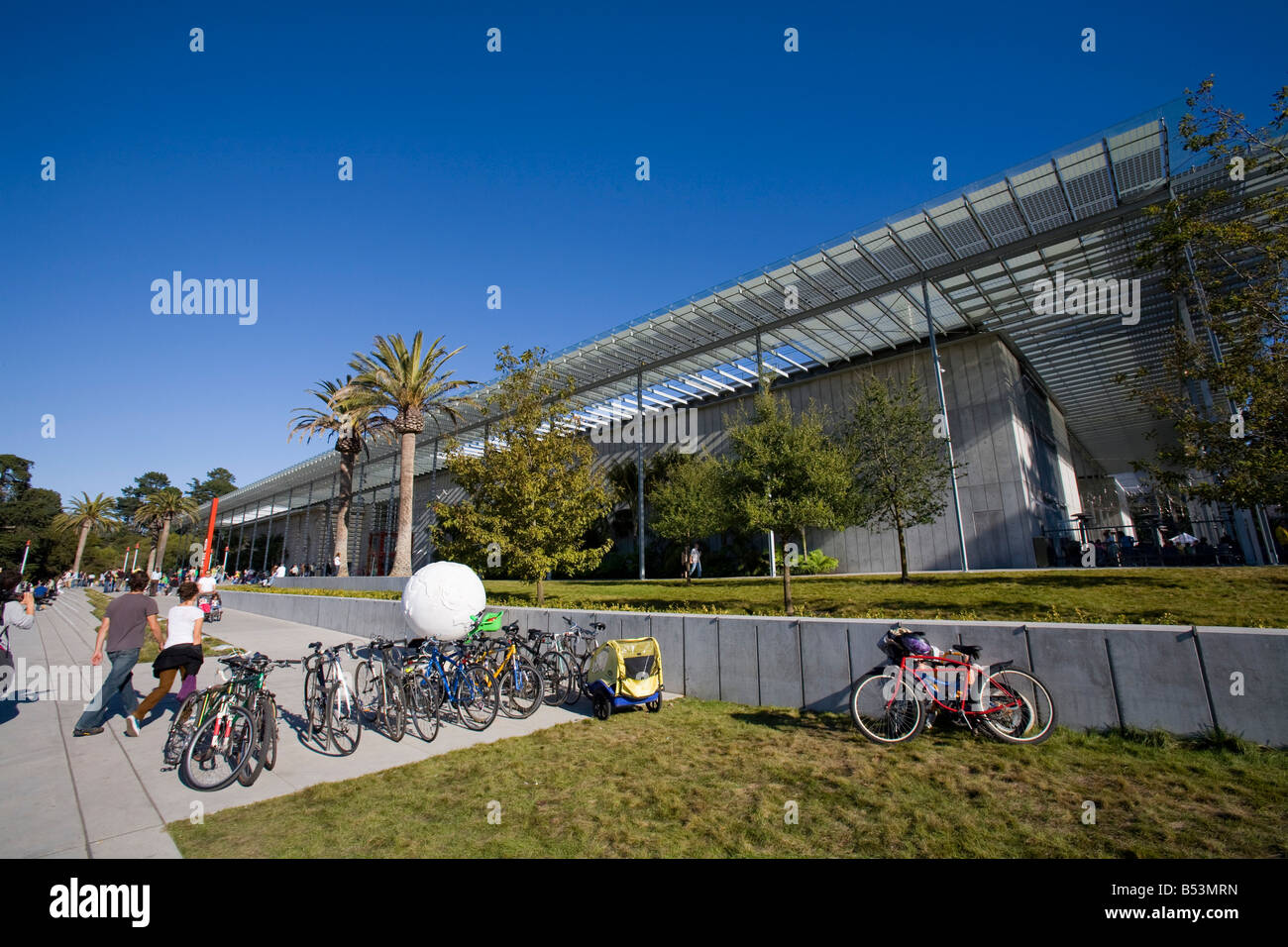 California Academy of Sciences Golden Gate park San Francisco California USA Stock Photo Alamy