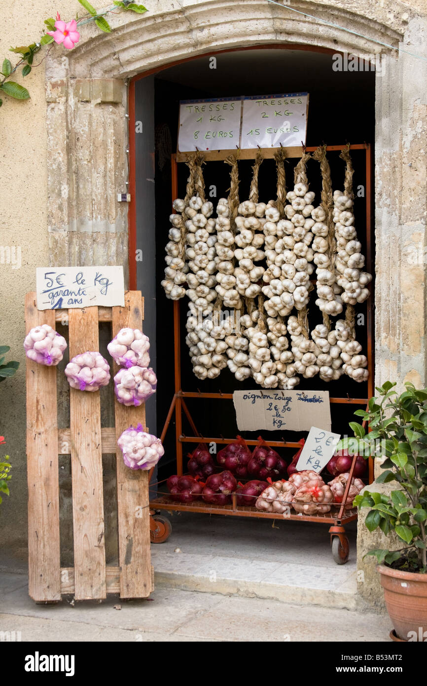 Hanging fresh garlic - Gers - France Stock Photo