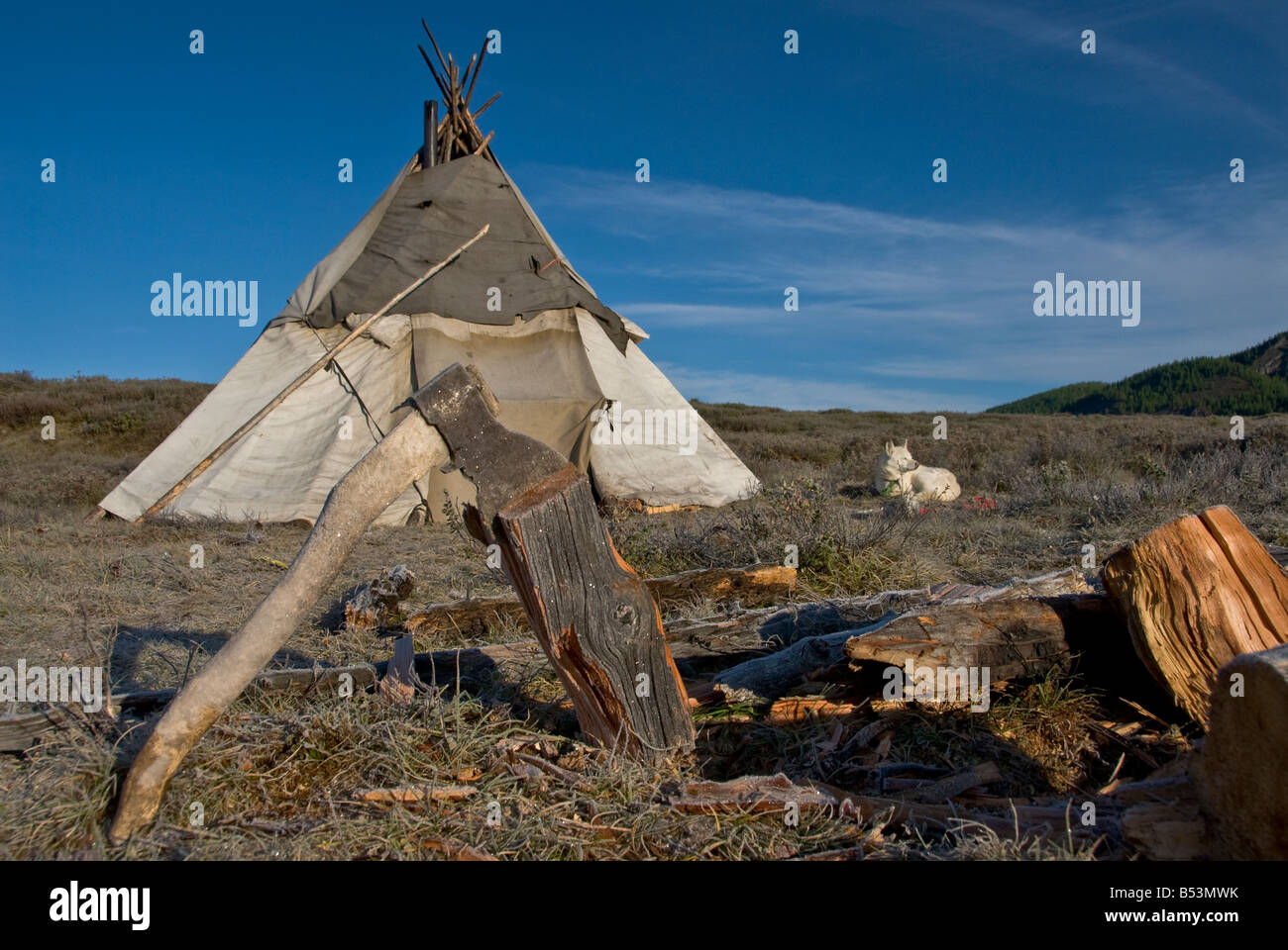 Axe with chopped wood Tsaatan encampment Stock Photo