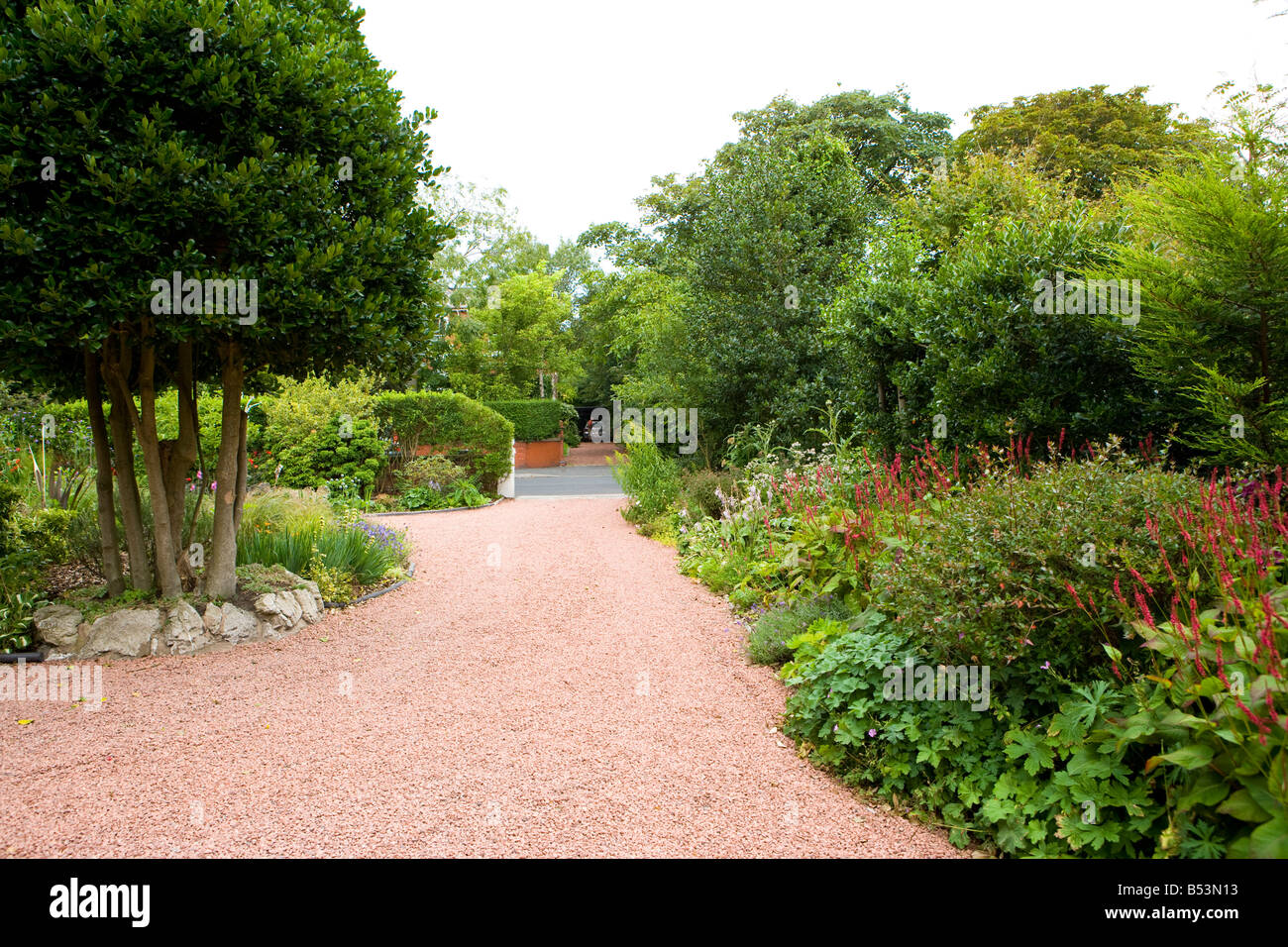 front garden of a large detached house with red gravel driveway and holly bushes Stock Photo