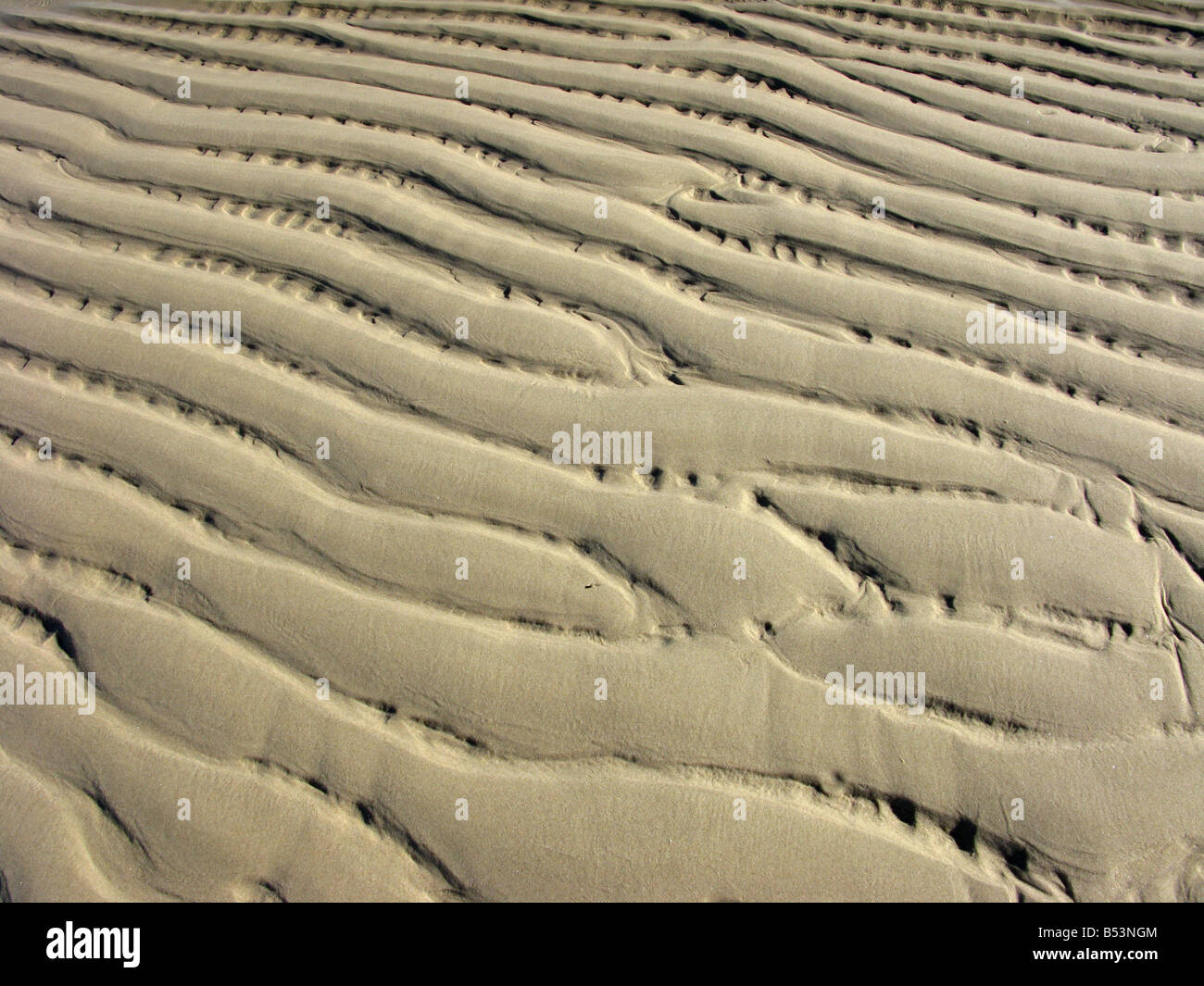 Real Sand Patterns Sand pattern horizontal hi-res stock photography and images - Alamy