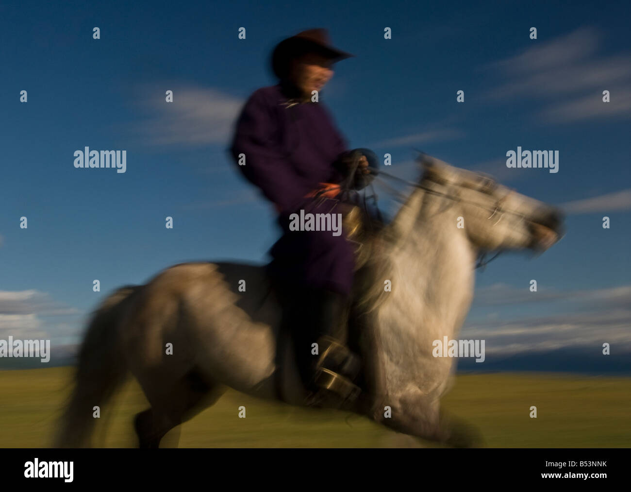 Nomad at gallop North Mongolia Stock Photo - Alamy