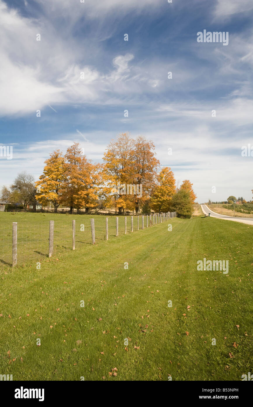 Farm Land In Ontario Stock Photo Alamy