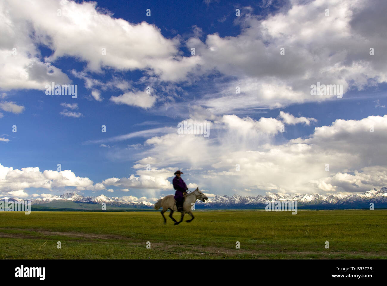 Nomad galloping in the Steppes North Mongolia Stock Photo