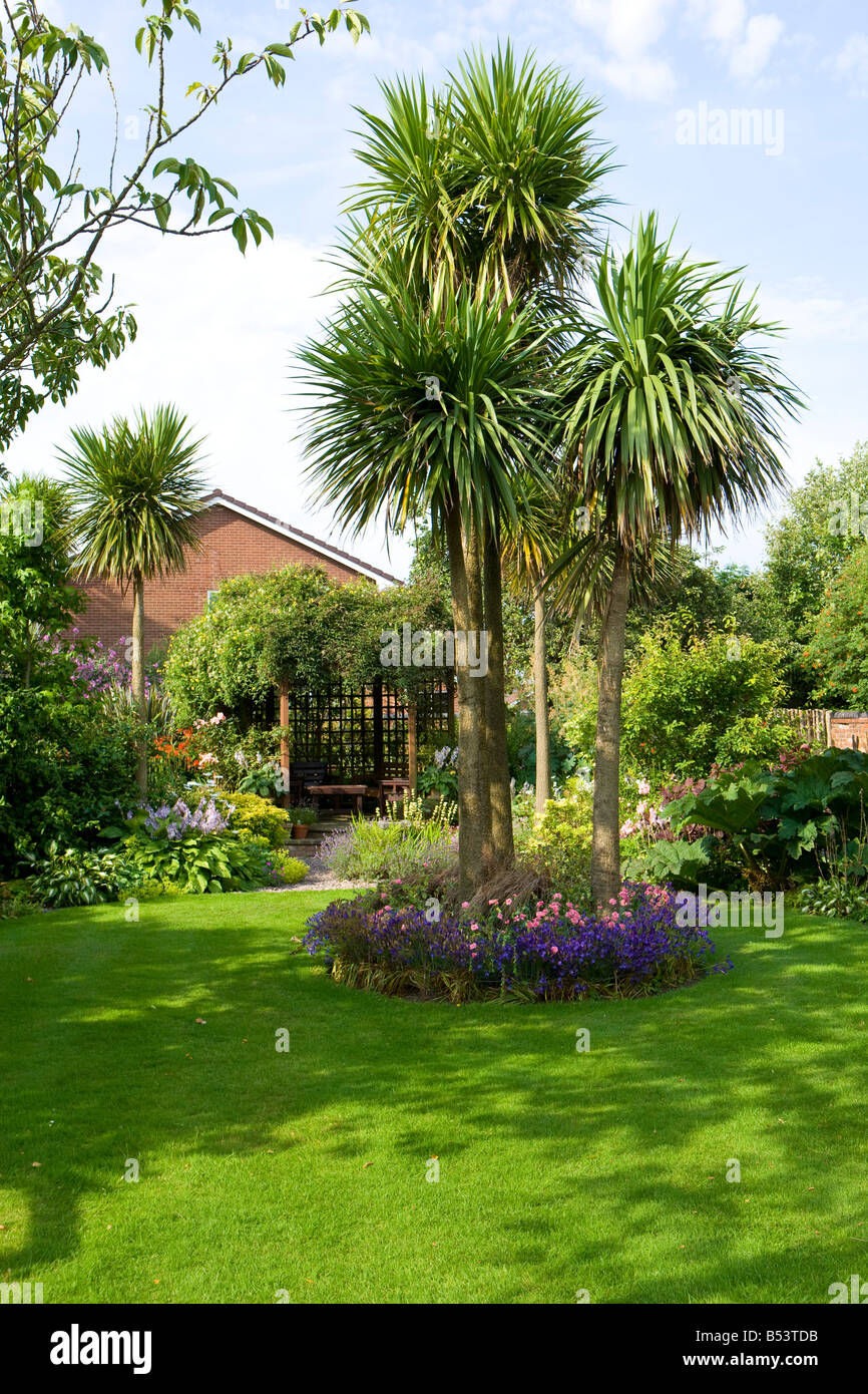 Island bed with a large Cordyline and annual planting Stock Photo