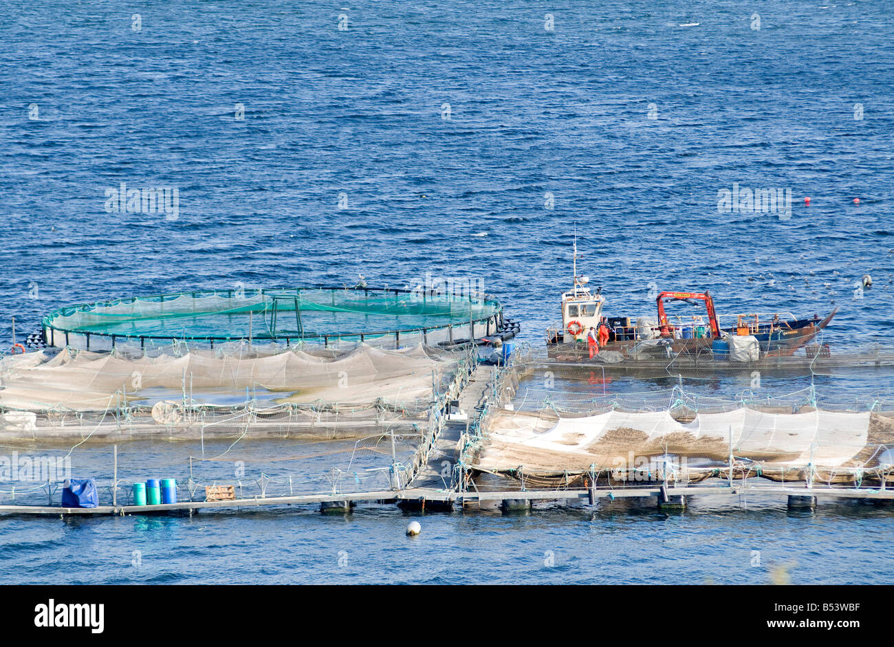 China PE Pipe Floating Aquaculture Cage Small Tilapia Fish Farming Nets -  China Fishing Cage, Fish Farming Cage
