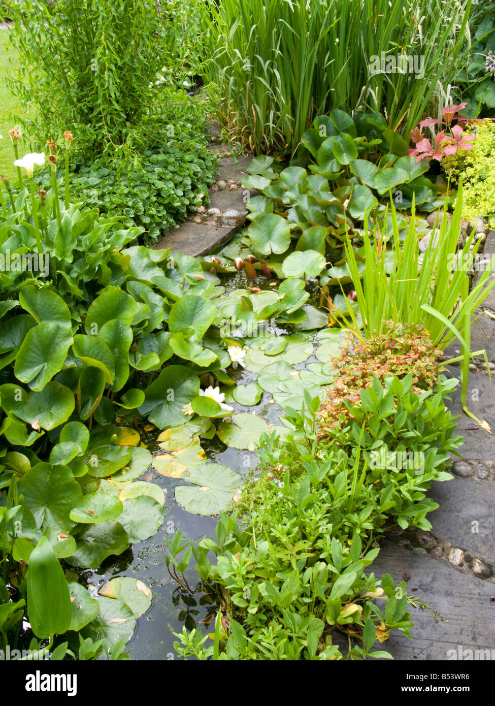Small water feature garden hi-res stock photography and images - Alamy
