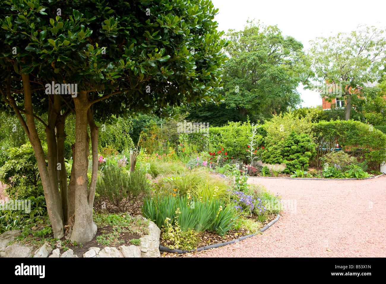 front garden of a large detached house with red gravel driveway and holly bushes Stock Photo